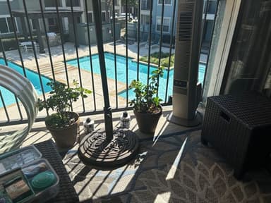 Profile Picture main user avatar