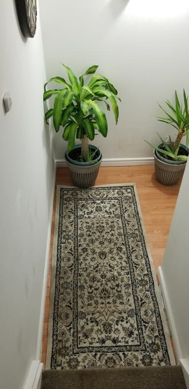 Place Preview main user avatar