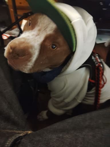 Place Preview main user avatar