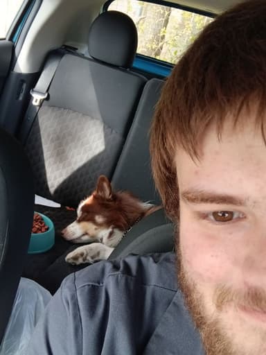 Profile Picture main user avatar