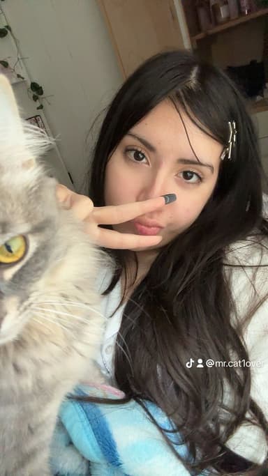 Profile Picture main user avatar