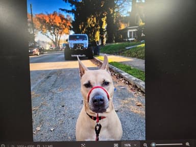 Place Preview main user avatar