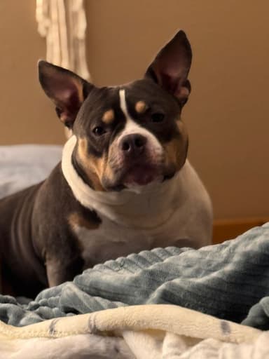 Profile Picture main user avatar