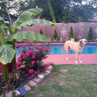 Place Preview main user avatar