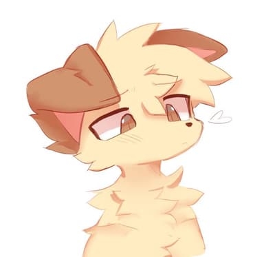 Profile Picture main user avatar