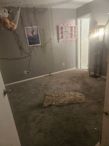 Place Preview main user avatar