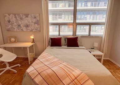 Place Preview main user avatar