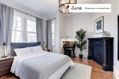 Place Preview main user avatar