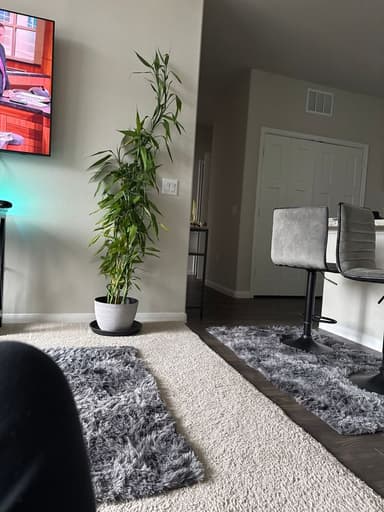 Place Preview main user avatar