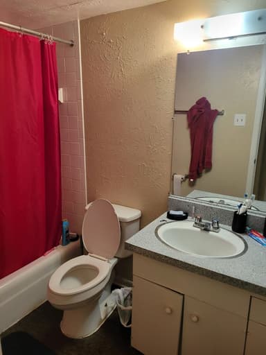 Place Preview main user avatar