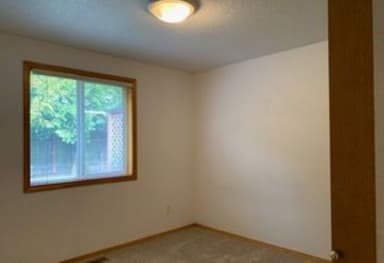 Place Preview main user avatar