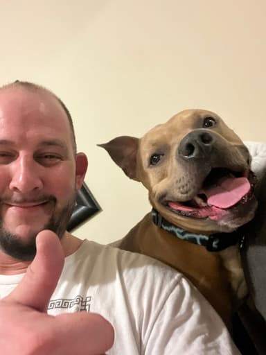 Profile Picture main user avatar