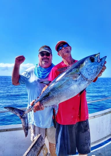 Profile Picture main user avatar