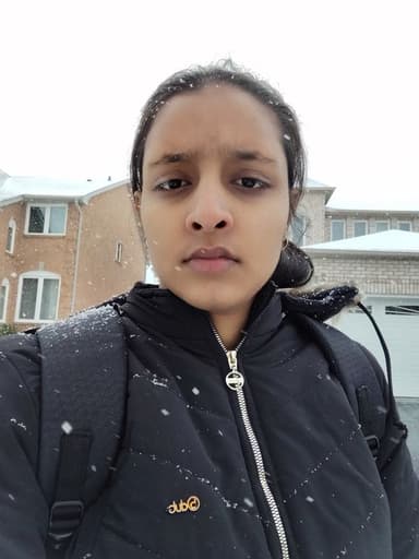 Profile Picture main user avatar