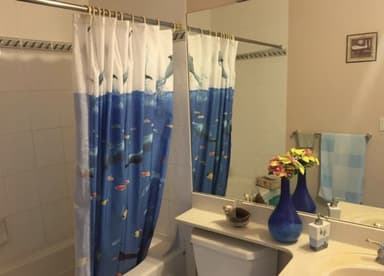 Place Preview main user avatar