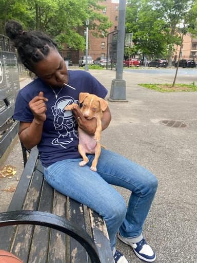 Profile Picture main user avatar