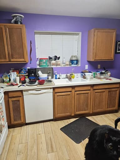 Place Preview main user avatar