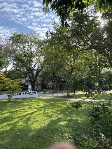 Place Preview main user avatar