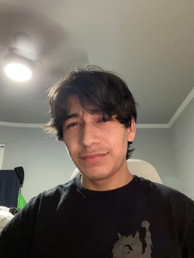 Profile Picture main user avatar