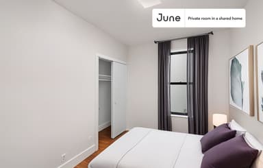 Place Preview main user avatar