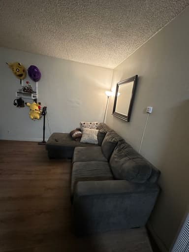 Place Preview main user avatar