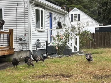 Place Preview main user avatar