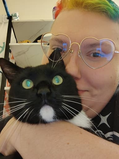 Profile Picture main user avatar