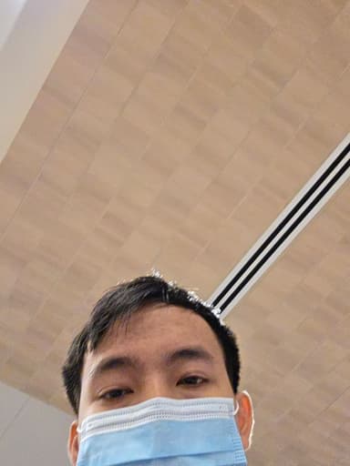 Profile Picture main user avatar