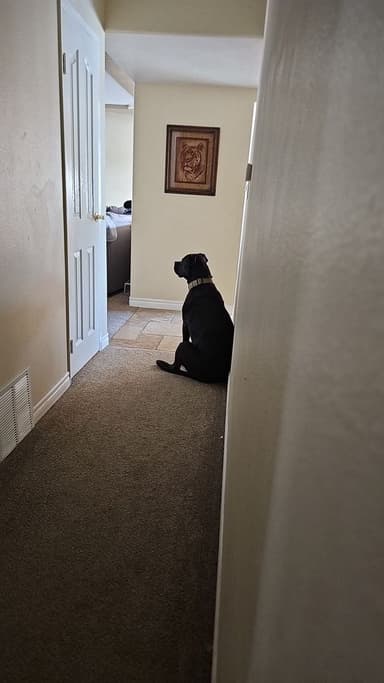 Place Preview main user avatar