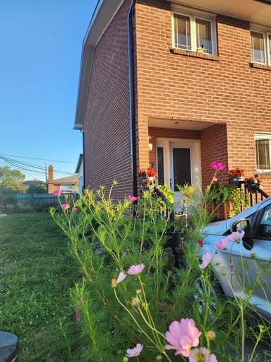 Place Preview main user avatar