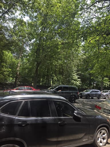 Place Preview main user avatar