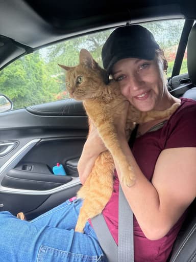 Profile Picture main user avatar