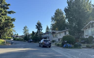 Place Preview main user avatar