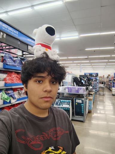 Profile Picture main user avatar