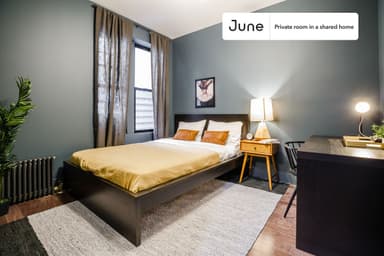 Place Preview main user avatar