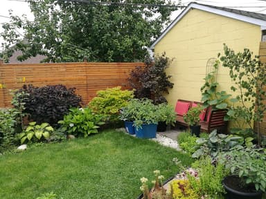 Place Preview main user avatar