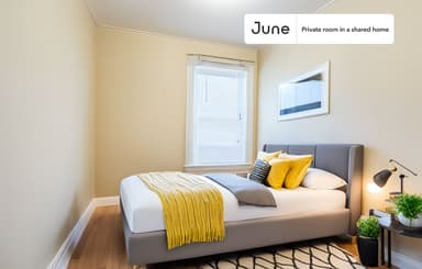 Place Preview main user avatar