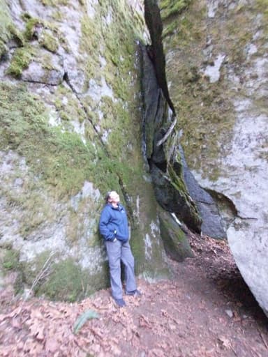 Profile Picture main user avatar