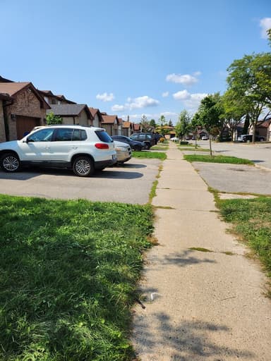 Place Preview main user avatar