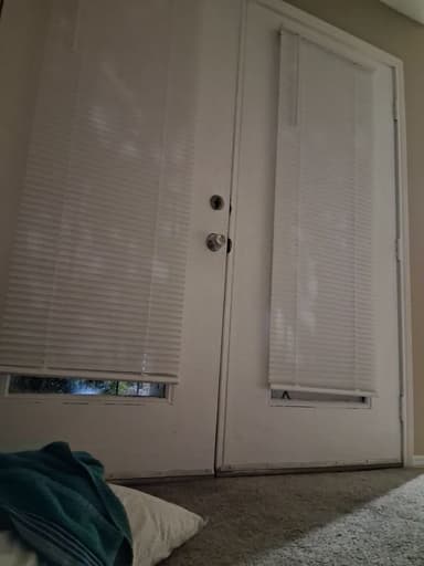 Place Preview main user avatar