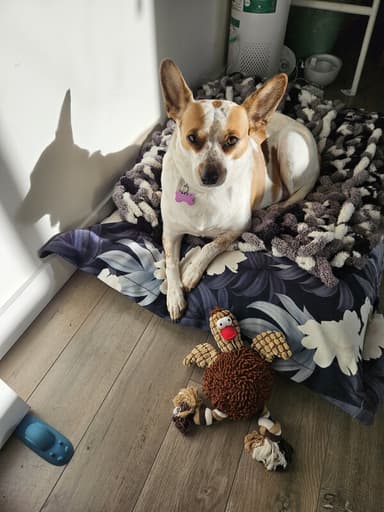 Place Preview main user avatar