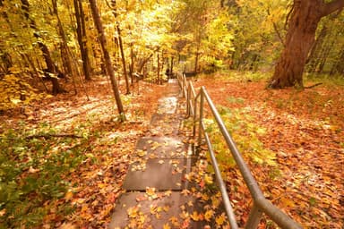 Place Preview main user avatar