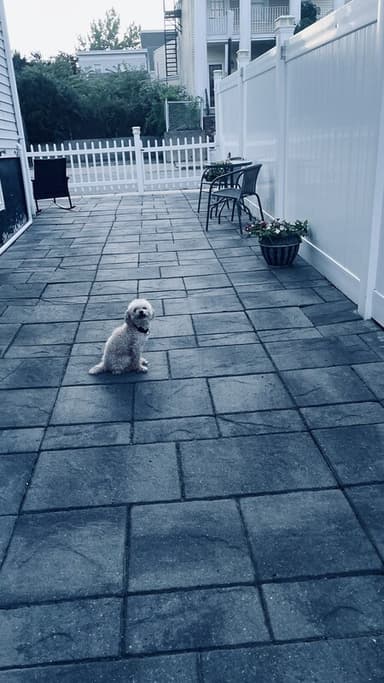 Place Preview main user avatar