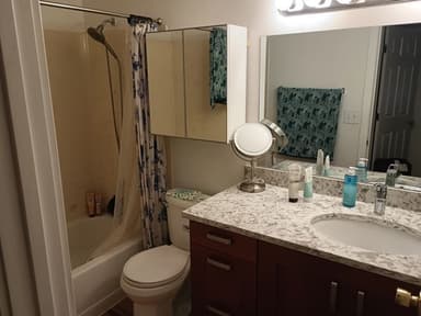 Place Preview main user avatar