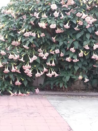 Place Preview main user avatar