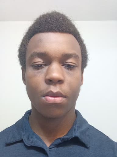 Profile Picture main user avatar