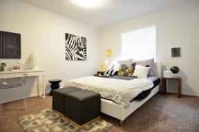 1 Bedroom 1 Bathroom main photo