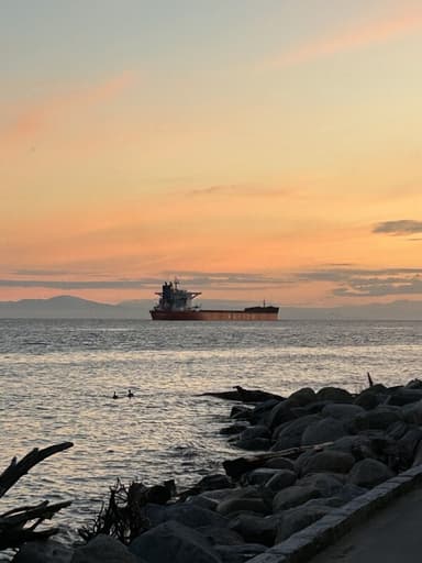 Place Preview main user avatar