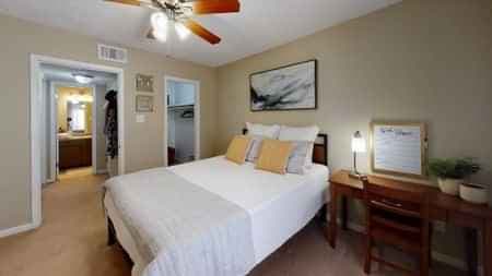 1 Bed 1 Bath main photo