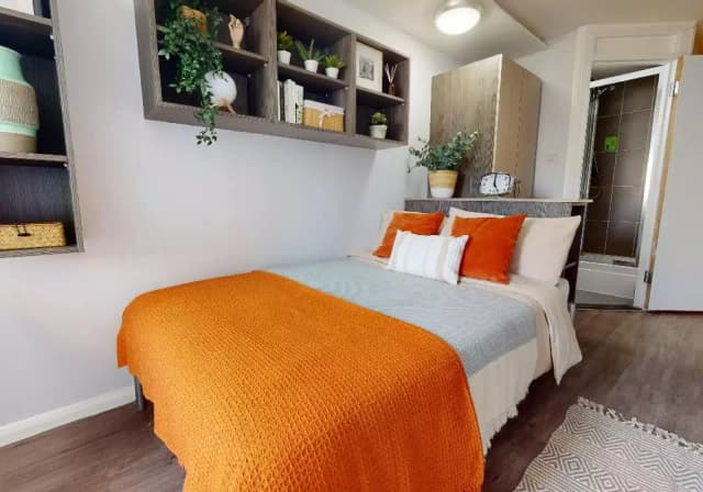 Silver Mini Studio main photo